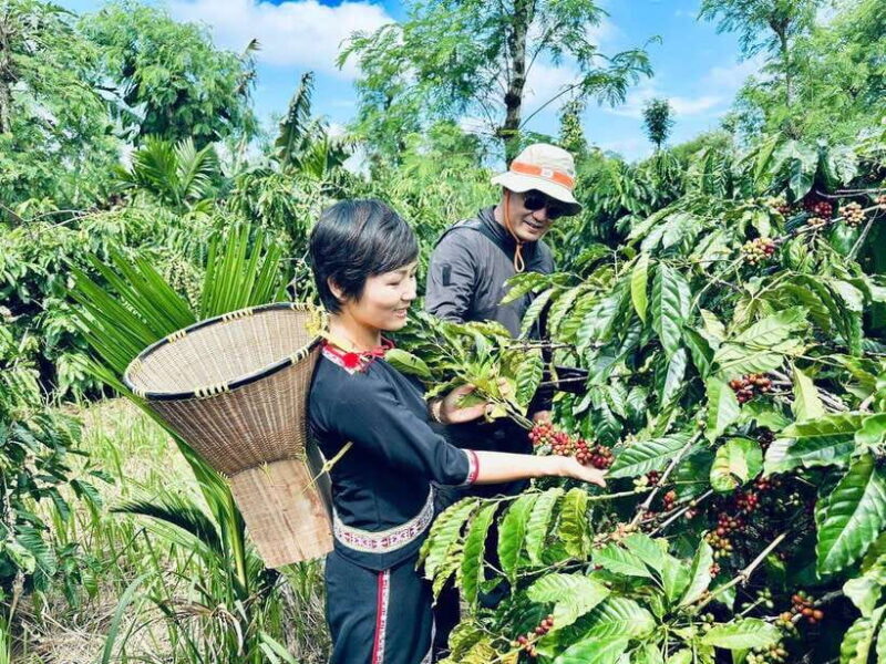 Buon Ma Thuot: Authentic Coffee Farm Experience with Lunch - Key Points