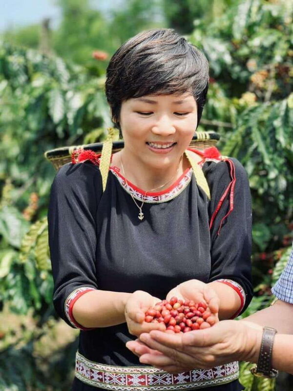 Buon Ma Thuot: Authentic Coffee Farm Experience with Lunch - Who Should Consider This Tour?