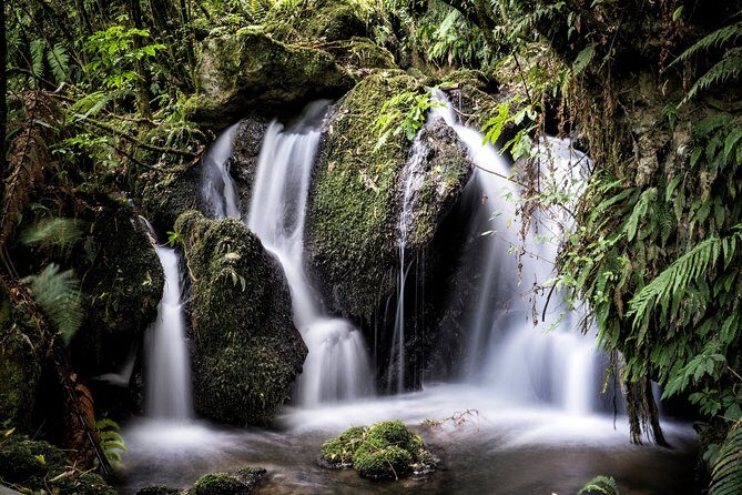 Buried Village of Te Wairoa - An In-Depth Look at the Experience
