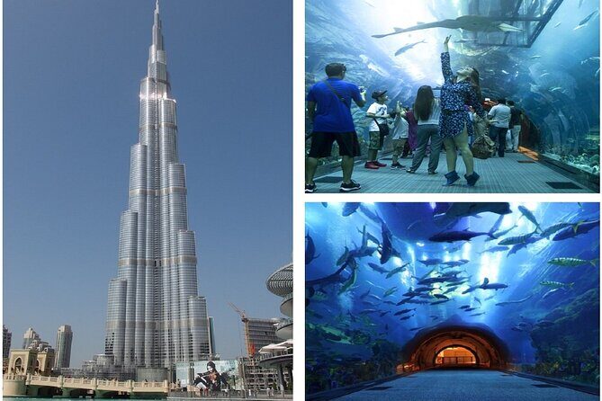 Burj Khalifa and Dubai Aquarium with Penguin Cove Combo - An In-Depth Look at the Experience
