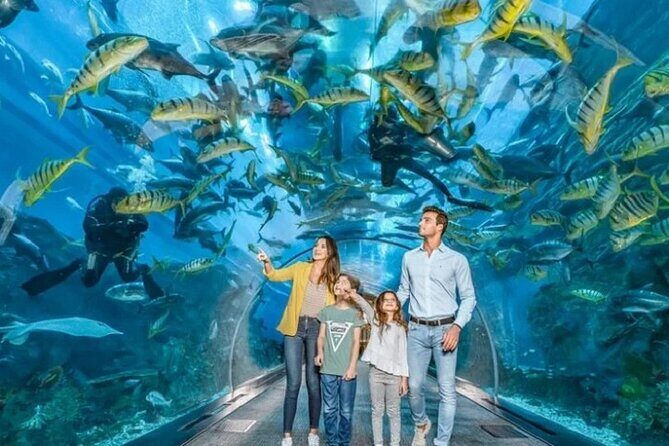 Burj Khalifa and Dubai Aquarium with Penguin Cove Combo - Who Will Love This Tour?