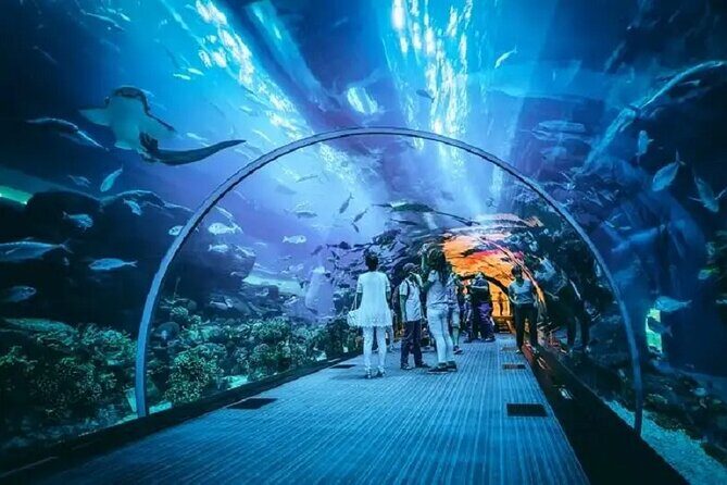 Burj Khalifa and Dubai Aquarium with Penguin Cove Combo - FAQ