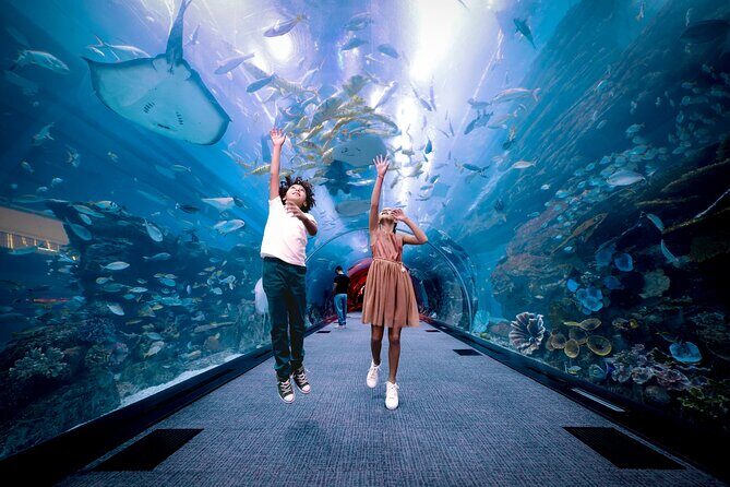Burj Khalifa At the Top & Dubai Aquarium Combo Entrance Tickets - The Sum Up