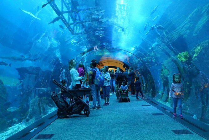Burj Khalifa, Dubai Aquarium & UWZ with Penguin Cove Entry Ticket - Final Thoughts: Who Should Consider This Tour?