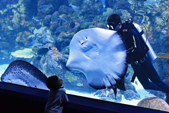 Burj Khalifa, Dubai Aquarium & UWZ with Penguin Cove Tickets - The Sum Up: Is This Tour for You?