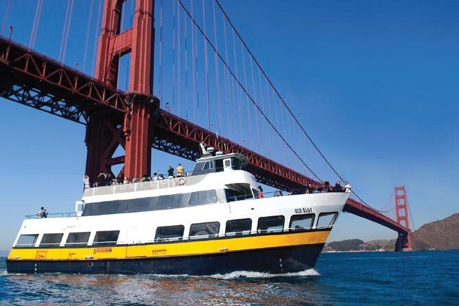 Bus & Boat Adventure - Practical Considerations and Tips