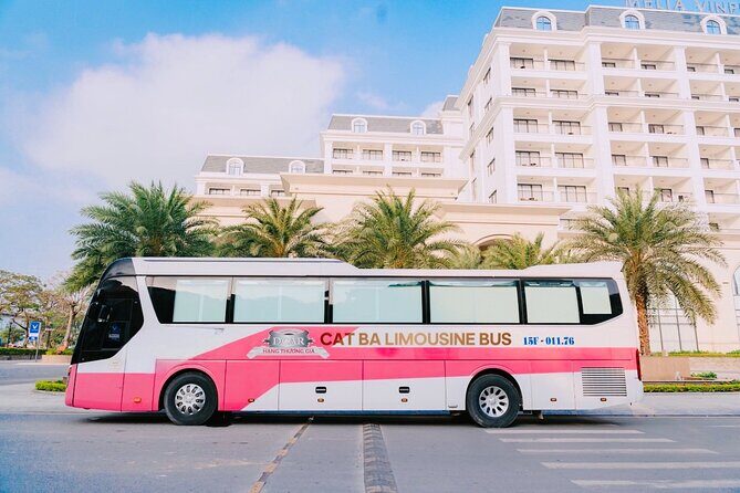 Bus Ha Noi to Cat Ba island - Is This Transfer Right for You?