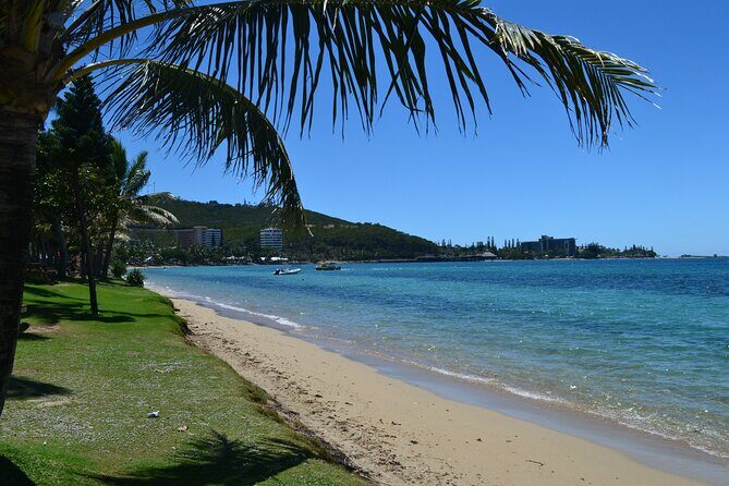 Bus Tour to Multiple Stops EN in Nouméa - Who Will Love This Tour?