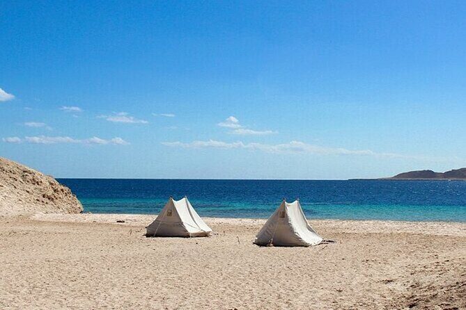 Bus Tour to Ras Mohamed from Sharm El Sheikh - Ras Mohamed National Park: The Highlight