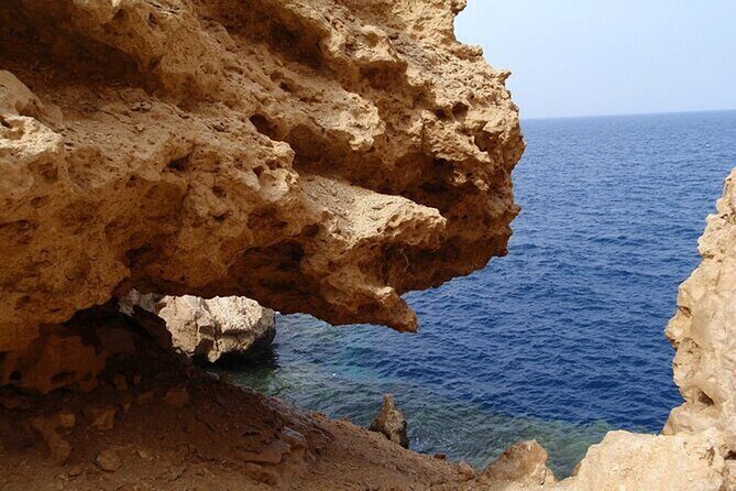 Bus Tour to Ras Mohamed from Sharm El Sheikh - Additional Considerations