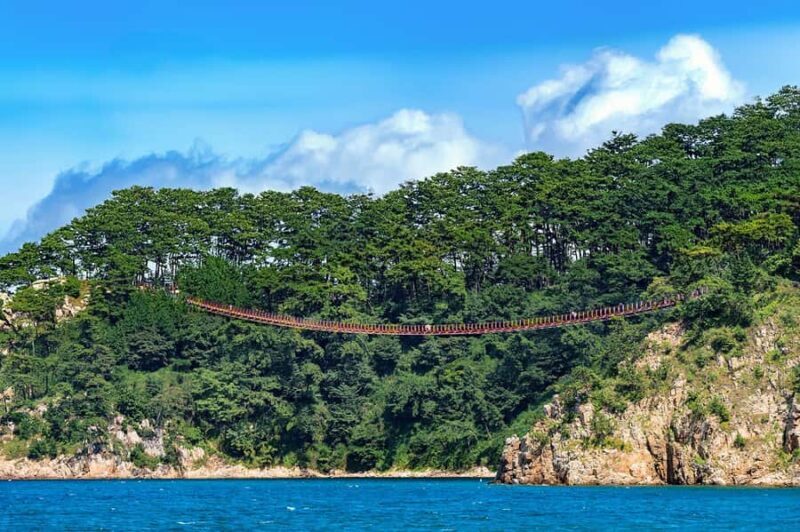 Busan: 7 Highlights Gyeongju City One Day Tour - Key Points