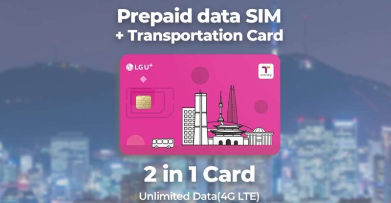 Busan Airport: Traveler SIM and Public Transportation Card - Key Points
