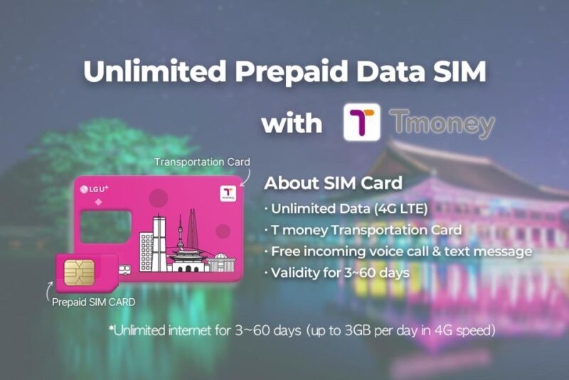 Busan Airport: Traveler SIM and Public Transportation Card - What to Expect from the Busan Traveler SIM and Card Package