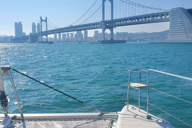 Busan Bliss: Panoramic Yacht & Urban Exploration with Sky Capsule - Final Thoughts