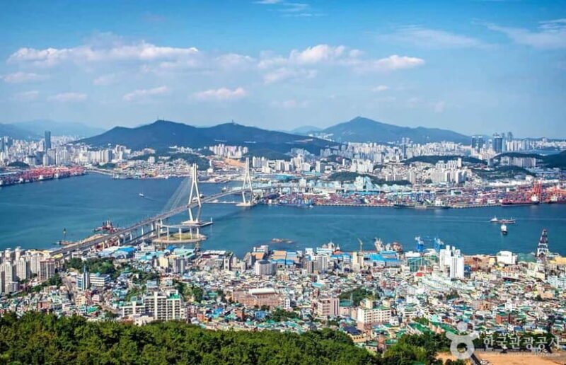 Busan: Bongnaesan Hiking Tour with Local Lunch - Final Thoughts