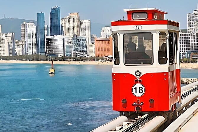 Busan City Top Attractions Full day Tour - A Deep Dive into the Day