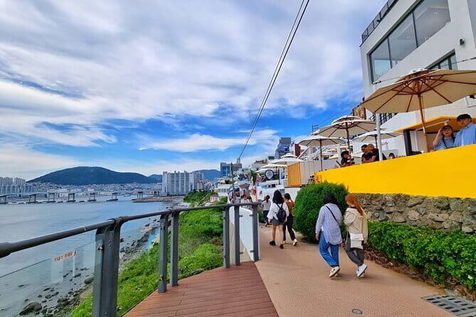 Busan City Top Attractions Full day Tour - Who Will Love This Tour?