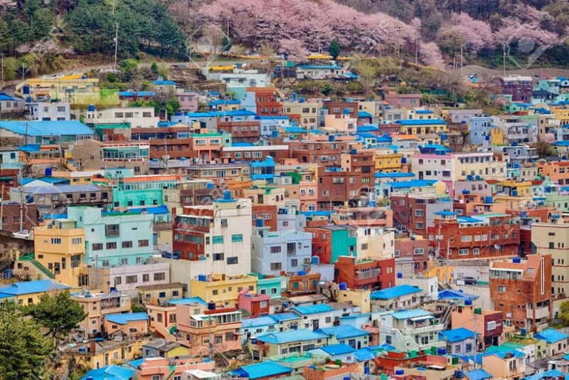 Busan: Customized Private Car Charter Tour - FAQ