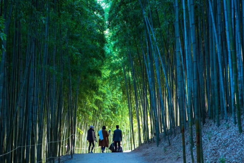 Busan: Damyang Juknokwon Bamboo Forest & Metasequoia Road - FAQs