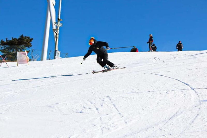 Busan: Eden Valley Resort Winter Ski Snowboard Sled Day Tour - Who Should Consider This Tour?