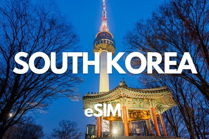 Busan: Food Crawl with Fish Market, Soju Tents & Local Snacks - Why This Tour Works Well