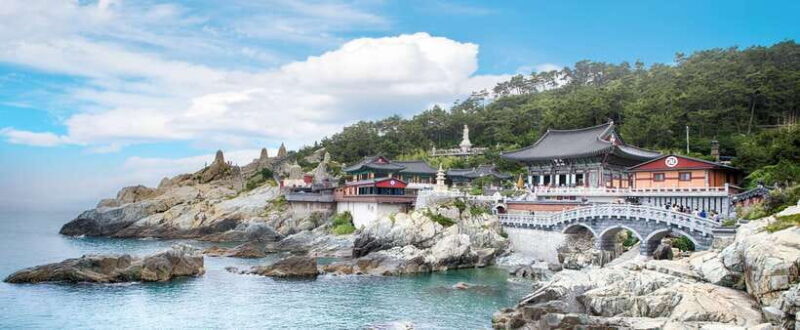 Busan: Full-Day City Tour with Taejongdae, Gamcheon & More - The Sum Up