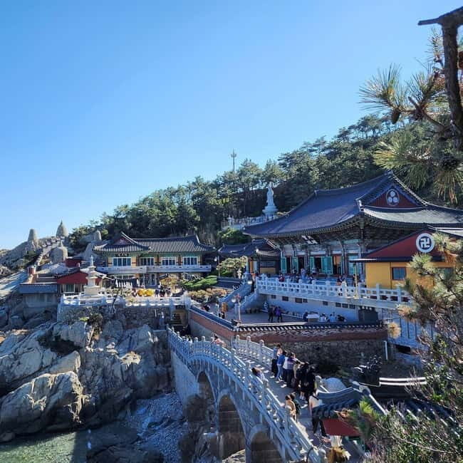 Busan: Full-Day Tour Unmissable things to do in Busan - Exploring Busan’s Colorful Heart: Gamcheon Culture Village