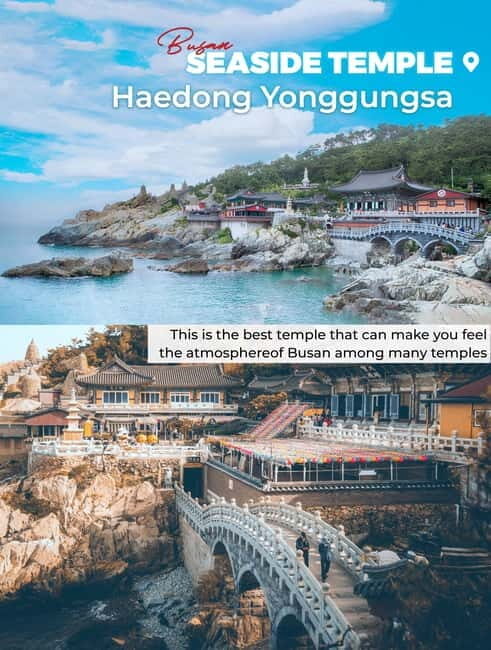 Busan: Full-Day Tour Unmissable things to do in Busan - Haedong Yonggungsa Temple: Seaside Serenity