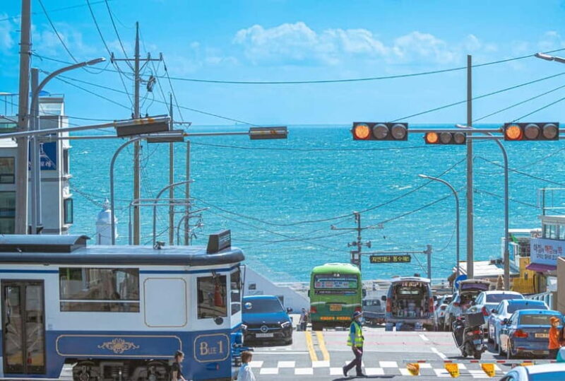Busan: Full-Day Tour Unmissable things to do in Busan - Art in the Streets: Murals and Sculptures Across Busan
