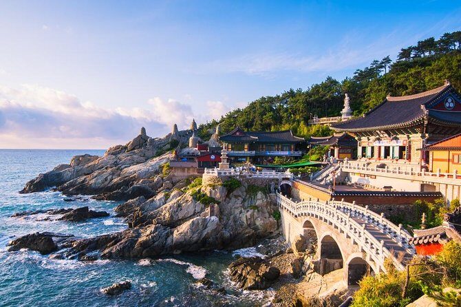 Busan: Fully Customizable Private Tour - Introduction