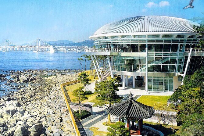 Busan: Fully Customizable Private Tour - The Flexibility of a Fully Customizable Experience