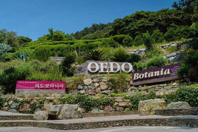 Busan: Geoje Coastal Escape, Sea Breeze& Oedo Botania Island - Authentic Experiences and Aesthetic Highlights
