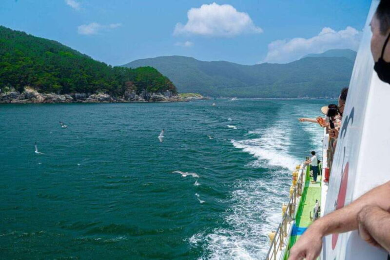Busan: Geoje Coastal Escape, Sea Breeze& Oedo Botania Island - Final Thoughts