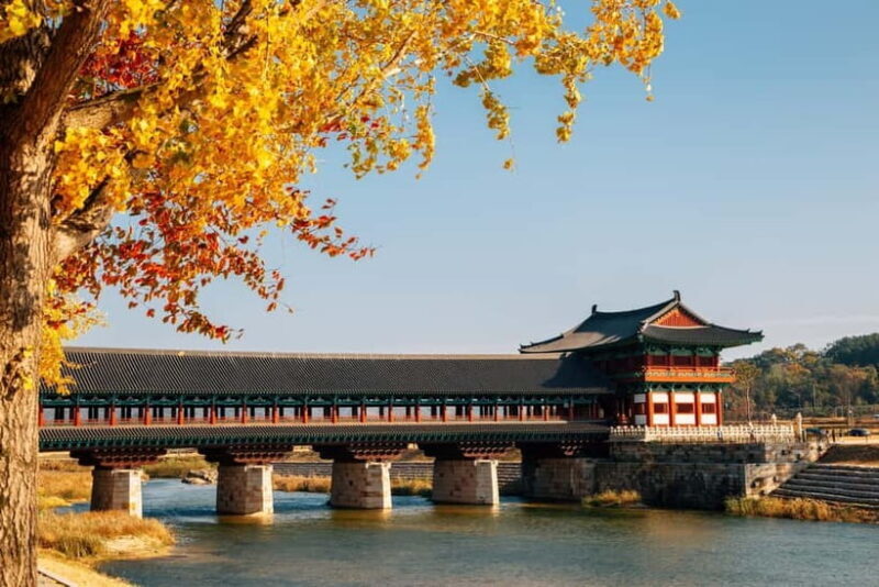 Busan: Gyeongju Autumn Foliage Day Tour with Historic Sites - An Authentic Look at the Gyeongju Autumn Experience