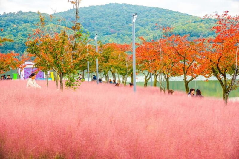 Busan: Gyeongju Autumn Foliage Day Tour with Historic Sites - Who Will Enjoy This Tour?