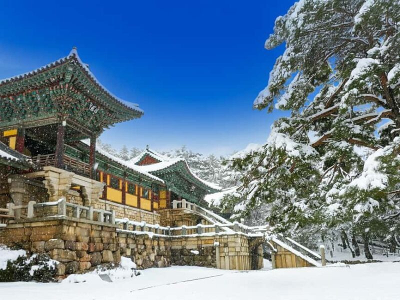Busan: Gyeongju UNESCO Legacy Tour with National Museum - Price and Value
