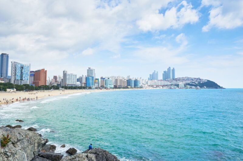 Busan: Haedong Yonggungsa Temple, Camellias Island & More - Coastal and Cultural Highlights