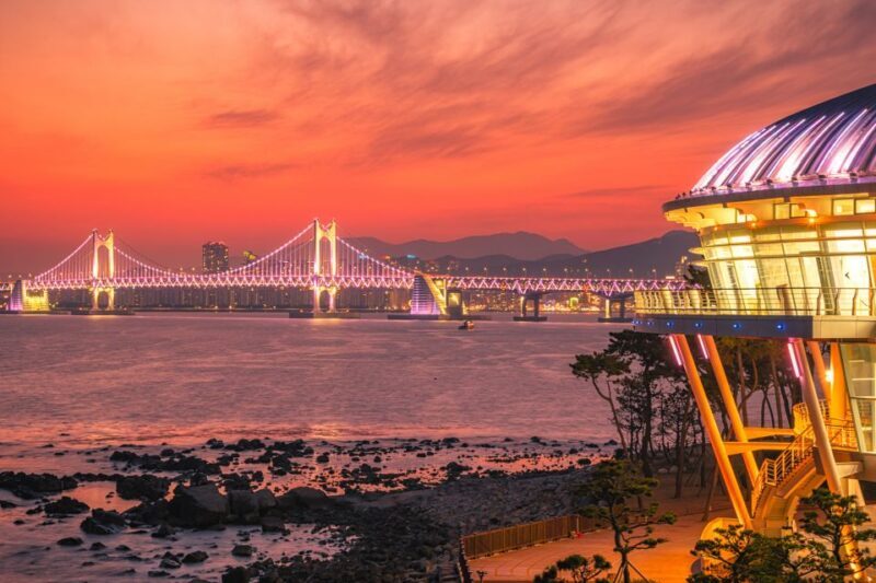 Busan: Haedong Yonggungsa Temple, Camellias Island & More - What Travelers Say