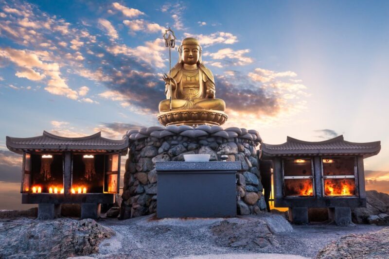 Busan: Haedong Yonggungsa Temple, Camellias Island & More - Analyzing the Value