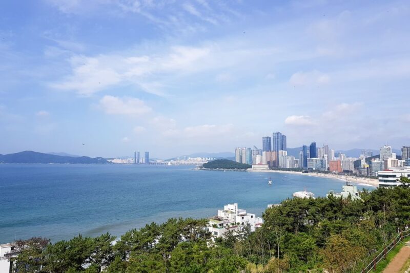 Busan: Haedong Yonggungsa Temple, Camellias Island & More - Who This Tour Is Best For