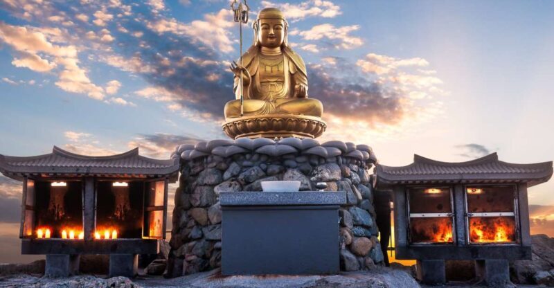 Busan: Haedong Yonggungsa Temple, Camellias Island & More - Final Thoughts