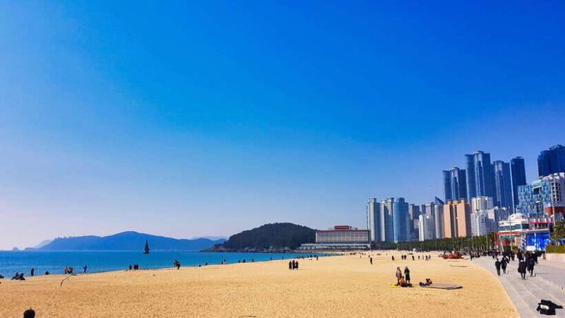 Busan: Haeundae 100-Minute Walking Tour - A Full Look at the Tour Experience