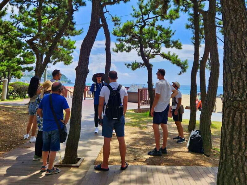 Busan: Haeundae 100-Minute Walking Tour - The Itinerary in Detail