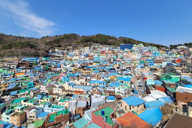 Busan Half-Day Customizable Private Tour in English - Key Points