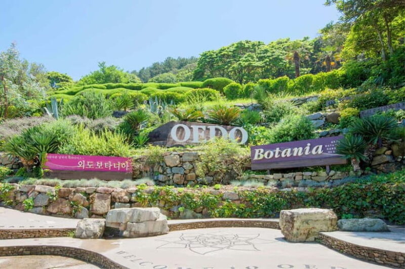 Busan: Hidden Gem Geoje & Oedo Botania Island & Cable car - Key Points