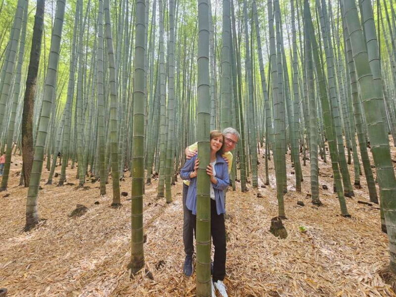 Busan Hidden Gems Private Tour with a Certified Guide - Exploring the Busan Hidden Gems Private Tour: An In-Depth Look