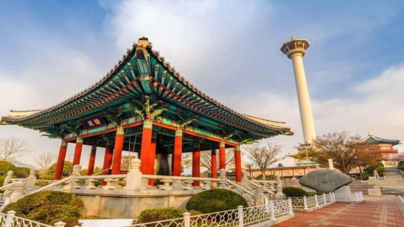 Busan: Jagalchi Market & Gamcheon village Walking Tour - Next Stop: Jagalchi Fish Market
