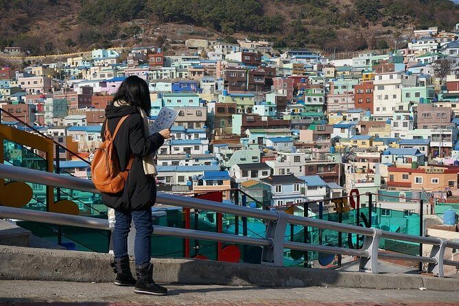 Busan Like a Local: Customized Private Tour - What to Expect at Each Stop