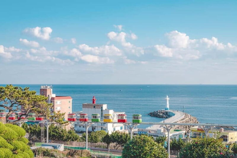 Busan: Max Out City Highlights Photo Spots Full Day Tour - Exploring the Itinerary: What You Can Expect