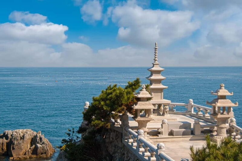 Busan: Max Out City Highlights Photo Spots Full Day Tour - Who Will Love This Tour?